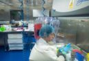 Как сокрытие происхождения COVID-19 изменило ход пандемии