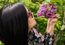 Воздух — недооценённый источник питательных веществ